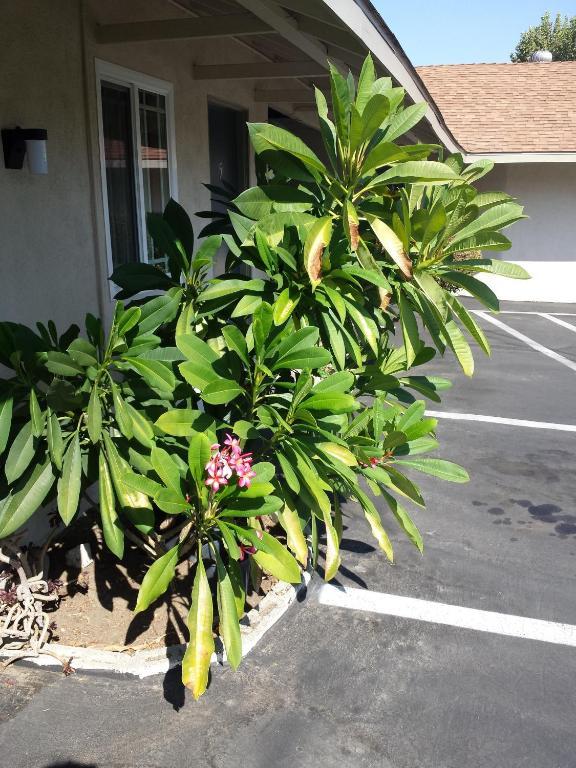 New Kansan Motel Ранчо Кукамонга Екстериор снимка